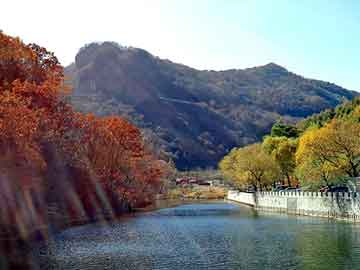 天天彩好彩天天免费，深圳地垫厂家